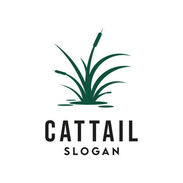 Simple green cattail illustration on white background with text placeholder below