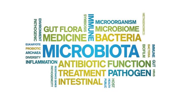 Microbiota animated word cloud-text design animation tag kinetic typography seamless loop.