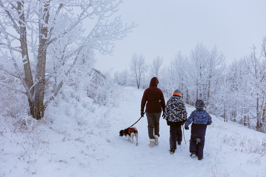 Woman and two children walking with their dog along a snowy trail in a park