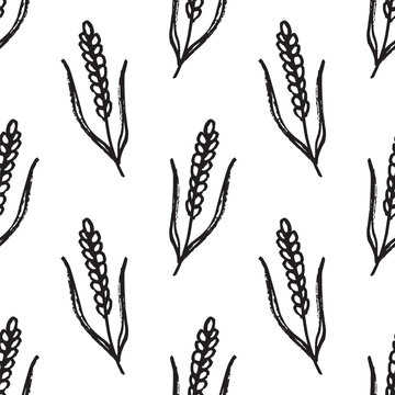 Seamless pattern with hand drawn cereal wheat oat rye barley rice ears spikelet Organic healthy food For decorative print, fabric, package, background