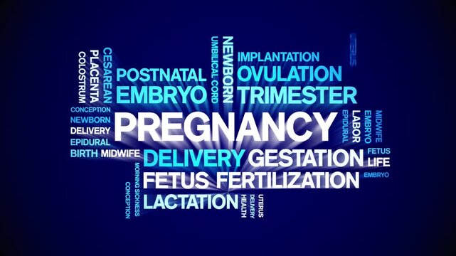 Pregnancy animated word cloud-animation tag kinetic typography seamless loop.