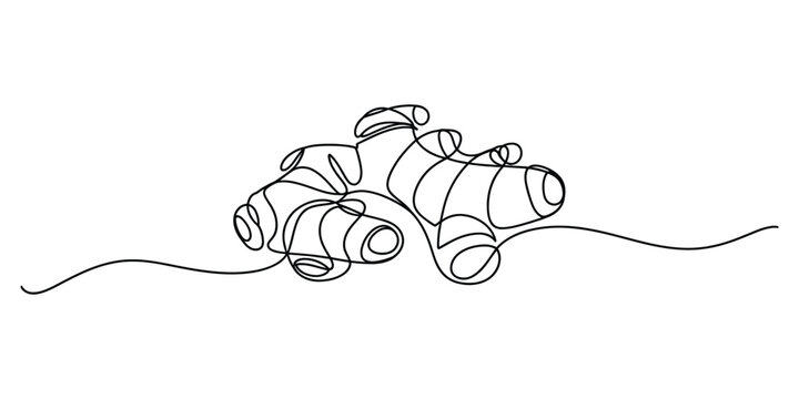 Continuous single line drawing of a fresh ginger root spice organic healthy food ingredient for cooking isolated on a white background illustration