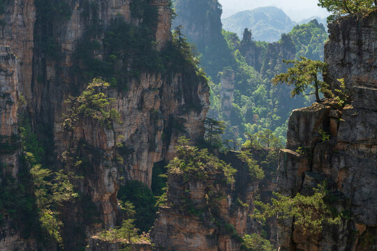 Sandstone pillars from the Shentang Gulf Observation Deck on Mount Tianzi in the Zhangjiajie National Forest Park on a spring day, Wulingyuan District, Zhangjiajie City, Hunan Province, China