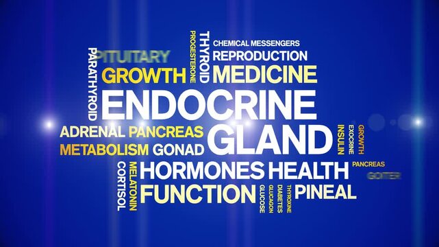Endocrine Gland animated word cloud-animation tag kinetic typography seamless loop.