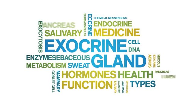 Exocrine Gland animated word cloud-animation tag kinetic typography seamless loop.