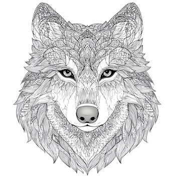 A Wolf With Hair Flowing Mandala Animal Coloring Page Vector