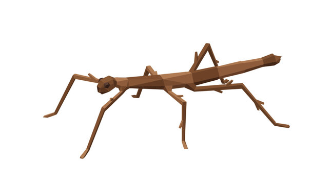 Low poly brown stick insect isolated on transparent background, polygonal art, insect illustration