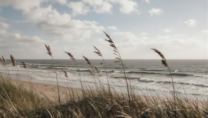 Obraz premium Coastal Serenity - Sea Oats Swaying on a Sandy Beach.