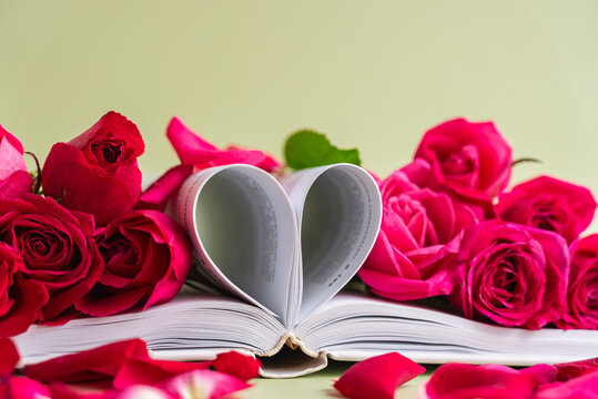 Open book with folded pages forming heart shape surrounded by fresh red and pink roses on soft pastel background. Romantic floral composition with copy space, suitable for love reading education
