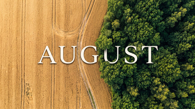 August calendar month text on golden wheat field and green forest background