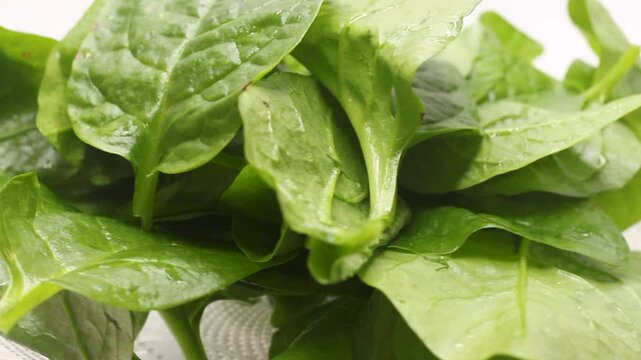 Fresh green malabar spinach leaves rotating slowly on white background for healthy food preparation video.