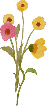 Watercolor floral illustration of a small bouquet of delicate wildflowers in yellow and pink with green leaves and stems isolated on a transparent background.