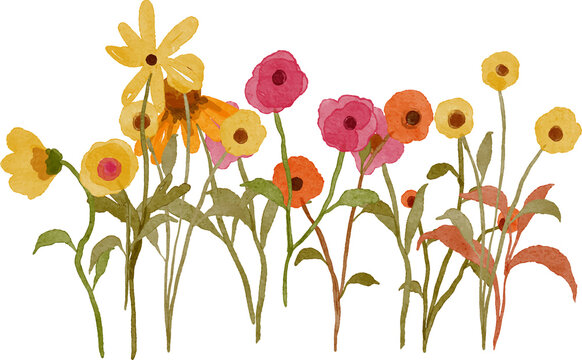 Watercolor illustration of a variety of wildflowers and green stems painted in a loose artistic style with soft natural colors isolated on a white background.