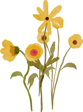 Watercolor painting of yellow wildflowers with green stems and leaves delicate floral illustration with a transparent background perfect for design projects.