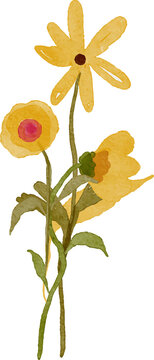 Watercolor illustration of yellow daisies and other wildflowers with green stems and leaves isolated on a white background hand painted style