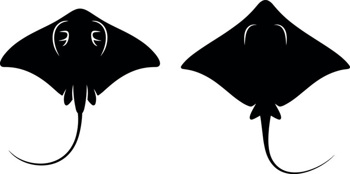 Black stingray silhouette vector set featuring dorsal and ventral views of marine fish for nautical design and aquatic branding