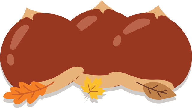 Simple vector illustration of Chestnut Nut and Prickly Burr Autumn, vector isolated on white