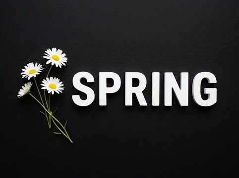 White spring word text with blooming daisies on dark backdrop suitable for seasonal promotional content symbolizing fresh beginnings and hope