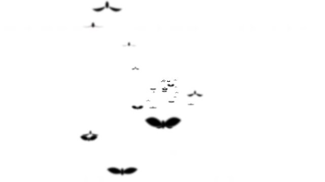 Spooky halloween icon animation set featuring black flying bats