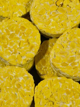 Fresh uncooked yellow tempeh block stack, close up of traditional Indonesian fermented soybean cake, organic vegetarian food ingredient