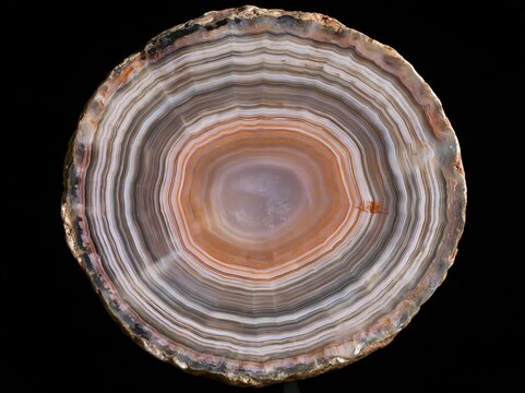 Agate Slice Cross-Section
