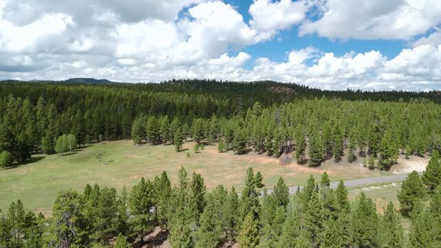 Drone Flyover of Red Rock Mountain Cliffs and Pine Trees in Utah