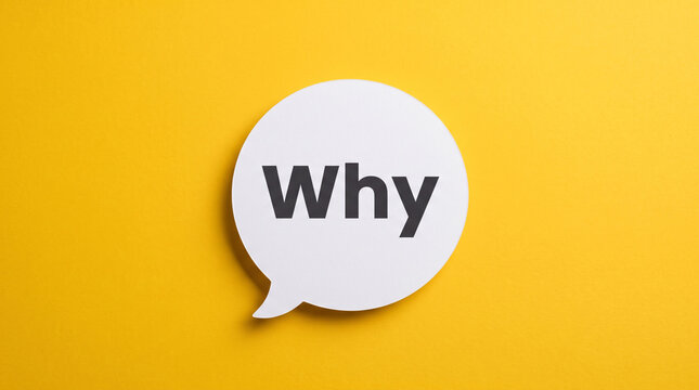 A white speech bubble with the word why written in black text, centered on a vibrant yellow background