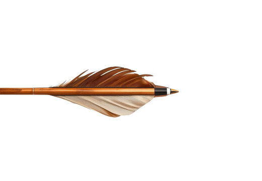 Traditional wooden arrow with feather fletching and sharp tip