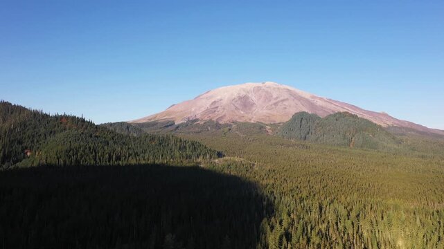 4K aerial drone footage approaching snow-free Mount St. Helens from southwest side, Washington, PNW, USA, showing volcanic slopes and dense evergreen forest under clear blue sky in early fall