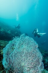 Scuba divers above a tropical reef © JongHyeon
