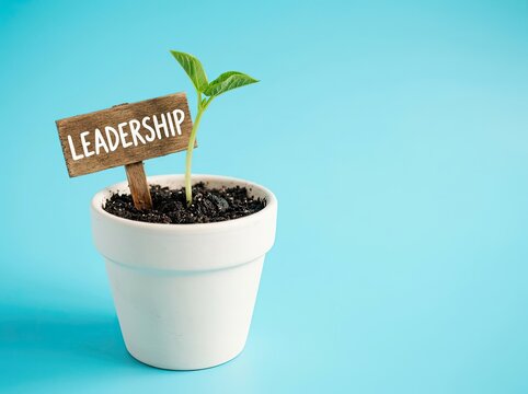 Green sprout with leadership sign in pot perfect for corporate training media symbolizing business development guidance and strategic growth