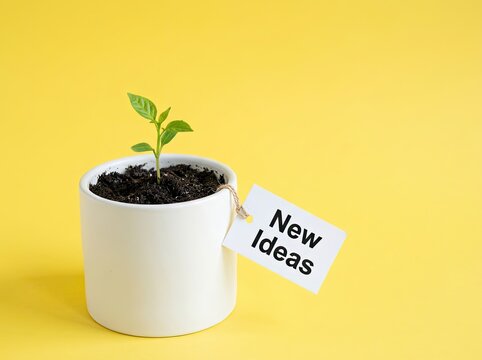 Small green sprout in white pot with a New Ideas label ideal for business innovation content symbolizing fresh thought growth and creativity