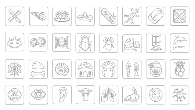Vector Icons Set: Animals, Nature, Science, Food, Objects - Isolated on Transparent Background