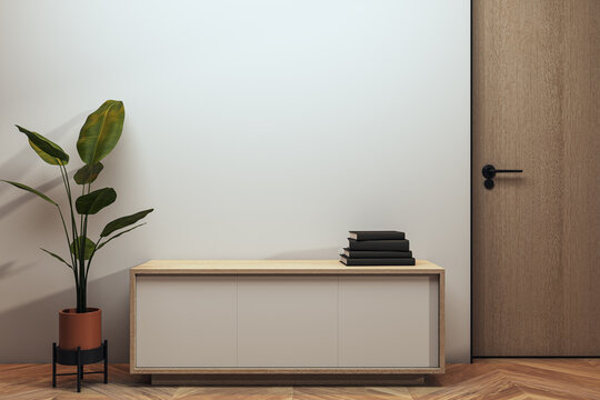Modern interior with blank wall, wooden cabinet, houseplant, books, and open door creating a clean contemporary copyspace mockup. 3D Rendering