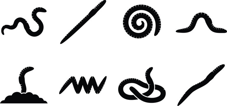 Black earthworm set silhouettes shown coiled straight and knotted poses