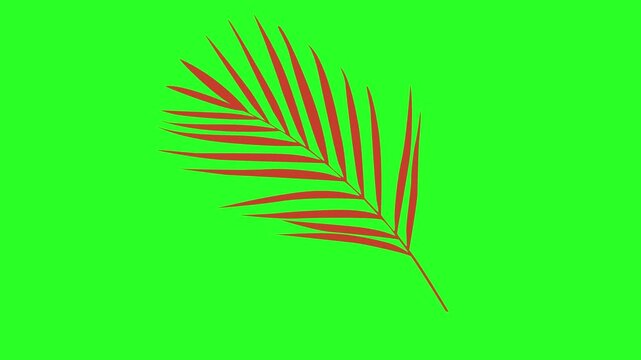 Red Palm Leaf Tropical Frond Branch Silhouette Isolated on Green Screen Chroma Key Background Vector Illustration Graphic Overlay Asset   