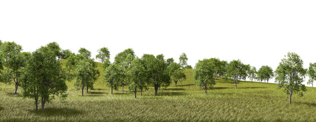 Obraz premium Woodland terrain fields scenery on transparent background 3d rendering png
