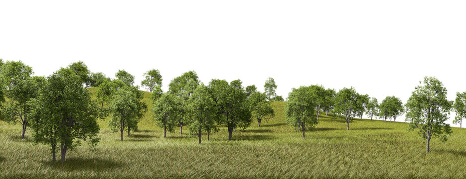 Woodland terrain fields scenery on transparent background 3d rendering png