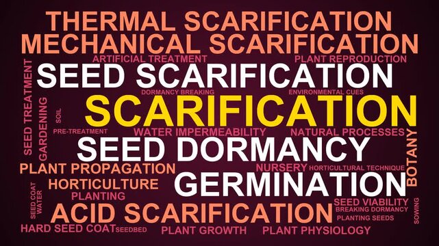 Scarification Word Cloud
