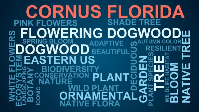 Cornus Florida Word Cloud