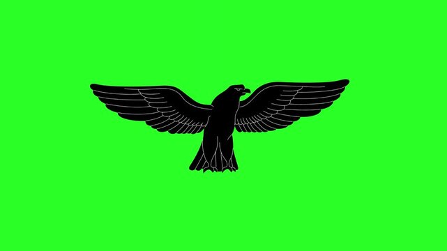 Black Eagle Silhouette Flying Bird of Prey Isolated on Green Screen Chroma Key Background Vector Line Art Graphic Illustration Overlay Asset   