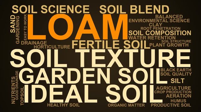 Loam Word Cloud