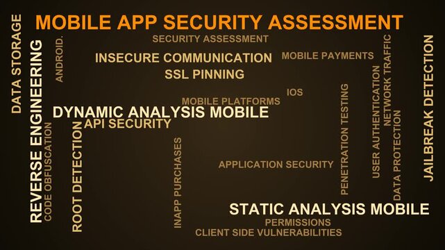 Mobile App Security Assessment Word Cloud