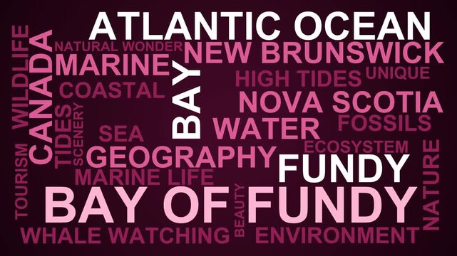 Bay Of Fundy Word Cloud