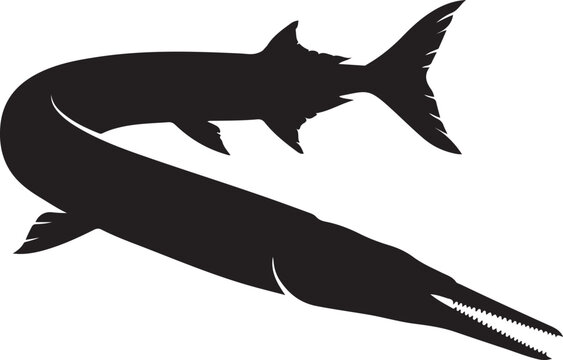 Needlefish silhouette arches its body in a stylized black and white graphic illustration.