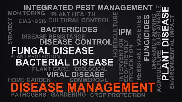 Disease Management Word Cloud