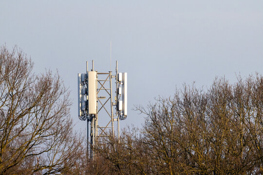5G Cellular Communication Tower with Panel Antennas Rising Above Bare Winter Trees Against Clear Sky