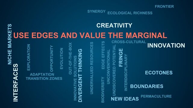 Use Edges And Value The Marginal Word Cloud