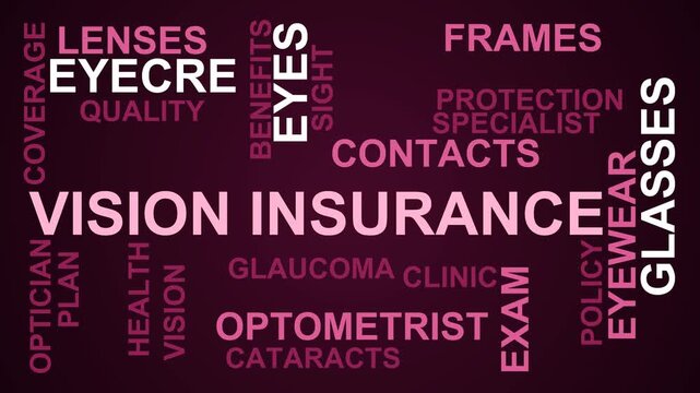 Vision Insurance Word Cloud