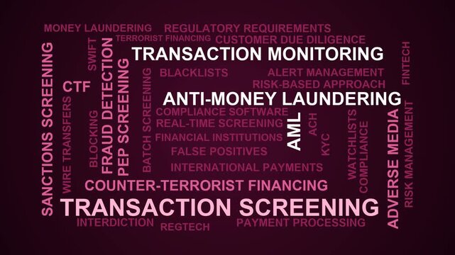 Transaction Screening Word Cloud